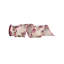 Ruban papillon