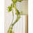 Primrue 30.5In Mossy Vine Branch, Pack Of 6