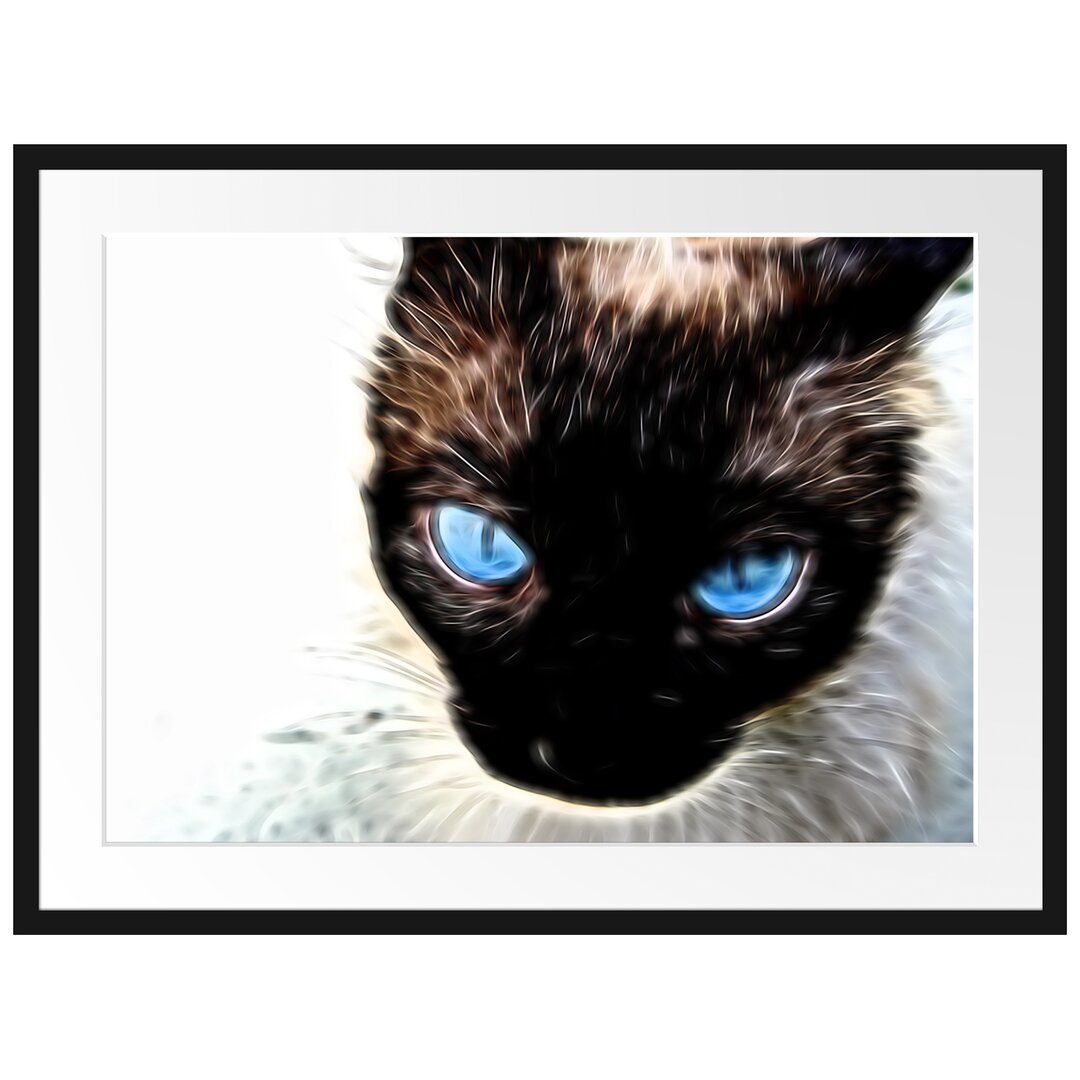 Gerahmtes Poster Schwarze elegante Katze