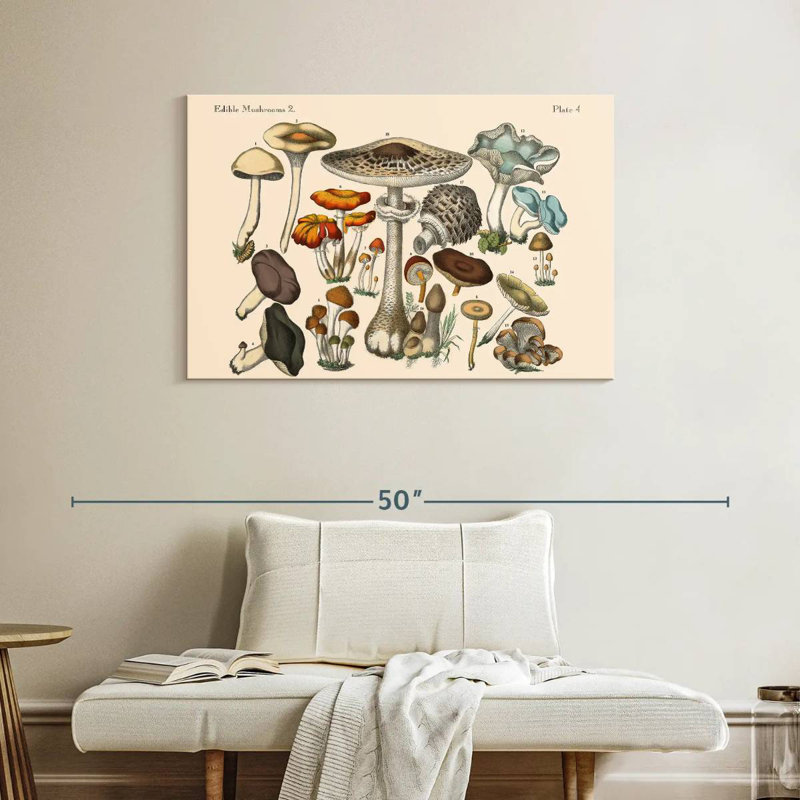 Champignons comestibles Yarlin, H 26 po x l 39 po