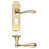 Polished Brass