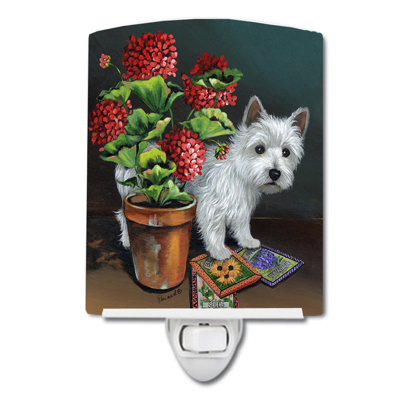 Veilleuse Westie, Westie jeunes pousses
