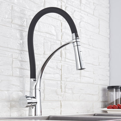 Belfry Kitchen Asaad Pull Out Kitchen Faucet