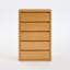 Fere 30" W 5-Drawer Dresser-15018529