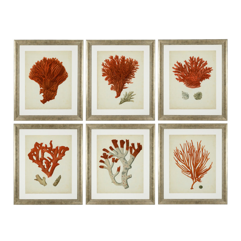 Antique Corals Print