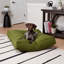 Lit pour chien intérieur / extérieur Jann-721723322-783263984