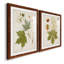 Antique Leaves VII - ensemble de 2 reproductions d'art sur papier encadré-65367038-65367025