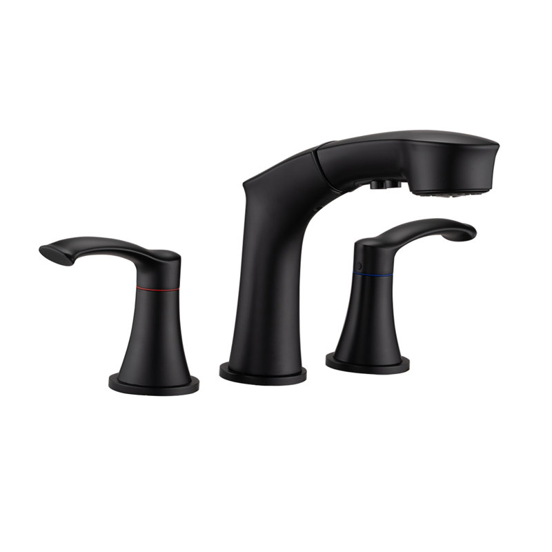 2-handle Bathroom Faucet, Black