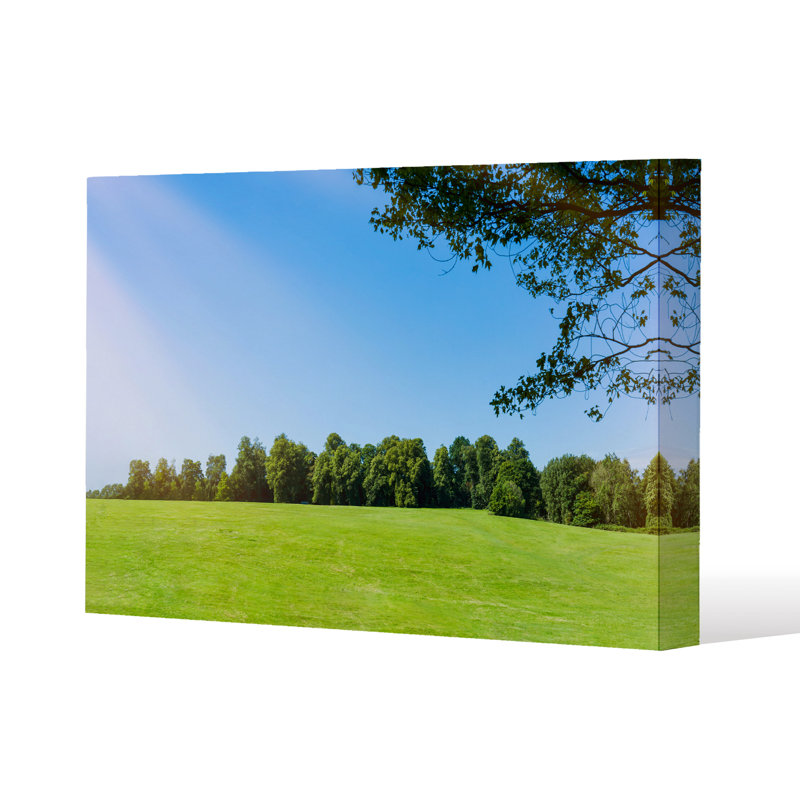 Andrew Lee - Wrapped Canvas Print
