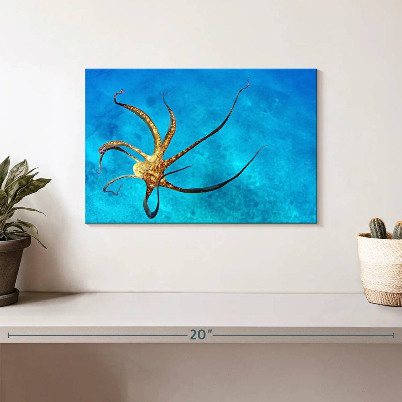 Brampt Wild Octopus Tentacles, 8" H x 12" W
