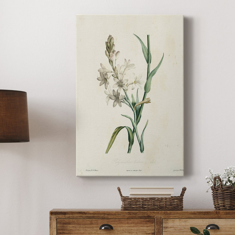 «Traditional Botanical IV», impression sur toile tendue, H 36 po x l 24 po x P 1 po