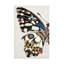 Art mural sur toile Rosalind Wheeler Melissa Wang-296786142
