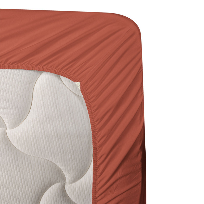 Microfiber Sheet Set, Twin XL Sheet Set + Fitted Sheet + 1 Pillowcase