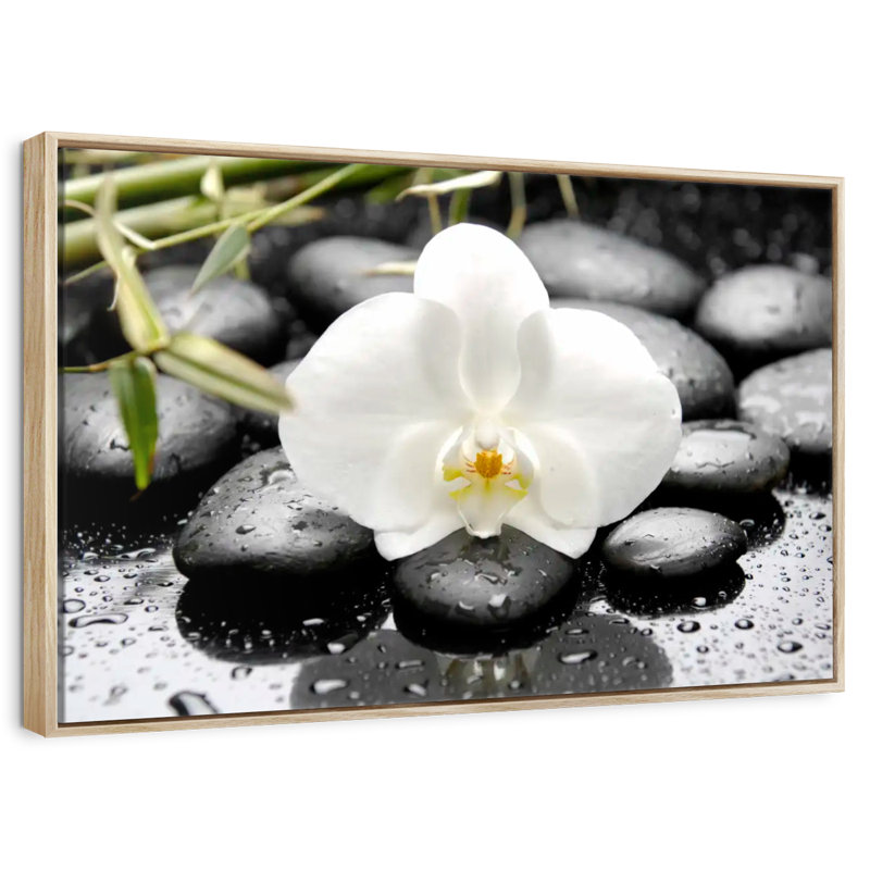 Orchidée blanche, 13 po x 9 po, Cadre flottant en bois naturel