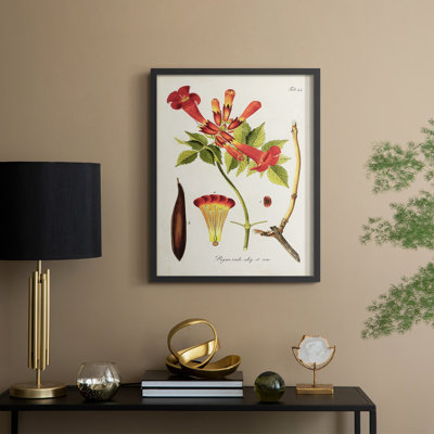 «Tropical Trumpet Flowers I», reproduction encadrée - bois massif