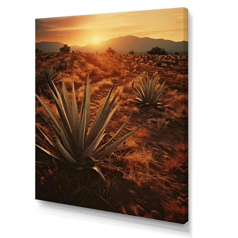 Succulent Field au Texas, H 44 po x l 34 po x P 1,5 po, Toile tendue