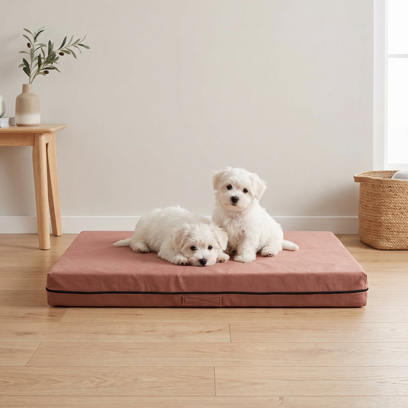 Lit pour chien VelvetRest, L 21,7 po
