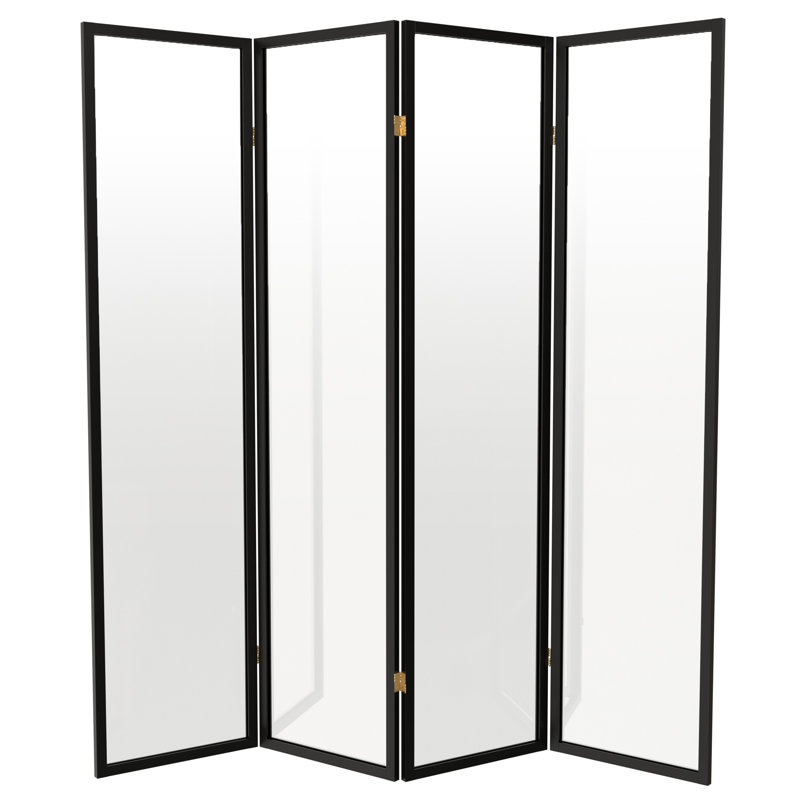Cloison en plastique transparent Alayzhia, 4, 6 pi, Noir