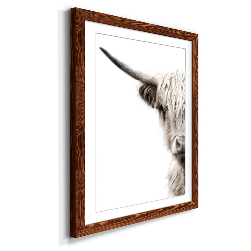 Bétail des Highlands - reproduction de photo, H 37,5 po x l 27,5 po x P 1,5 po, Papier avec cadre érable, Blanc