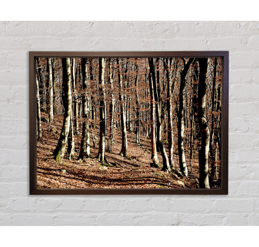 Woodland Beauty - Einzelner Bilderrahmen Kunstdrucke auf Leinwand