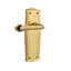Prairie Plate Passage (Hall & Closet) with Fleur Lever-39855174-39855170