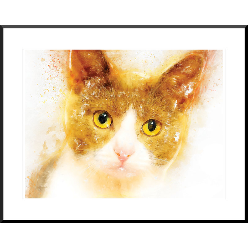 Cat - Single Picture Frame Print