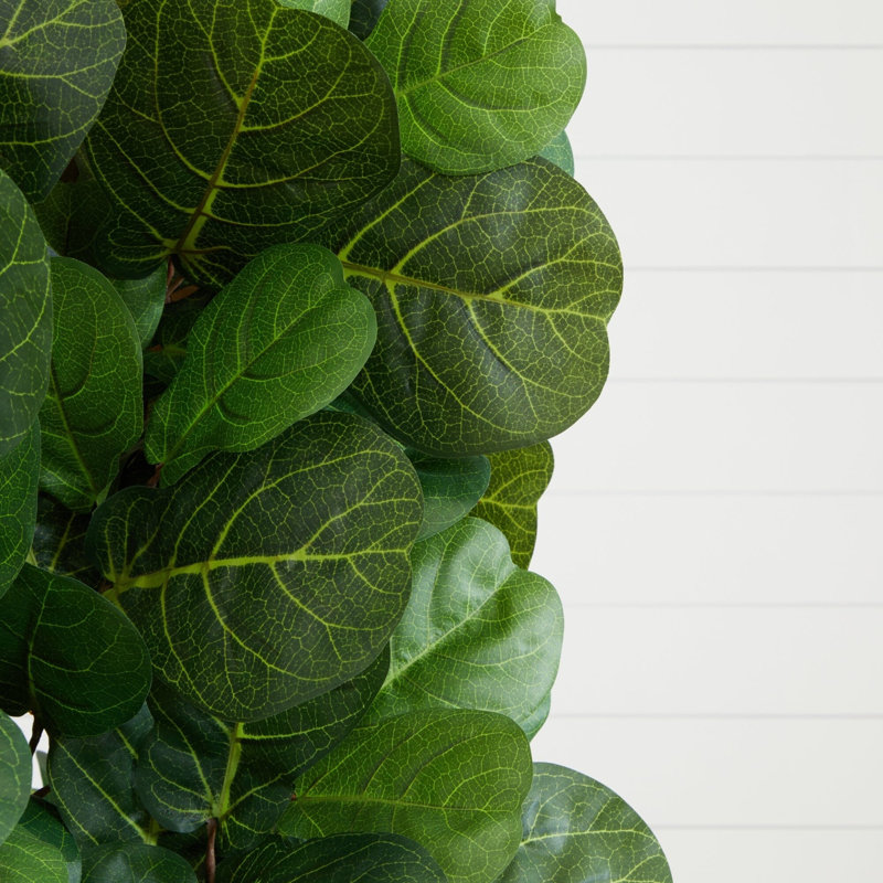 Fiddle Leaf Fig Artificial Tree, 72" H x 26" W x 26" D