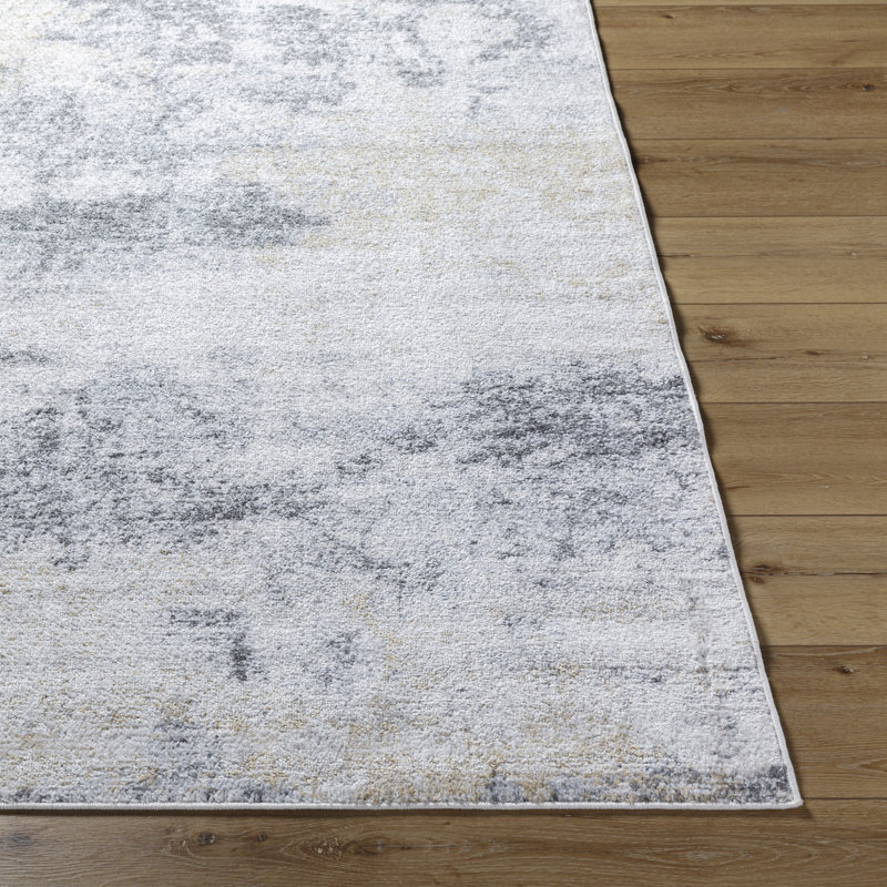 Reagyn Abstract Washable Area Rug, Rectangle 60 x 90cm