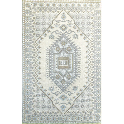 Oriental Indoor / Outdoor Rug