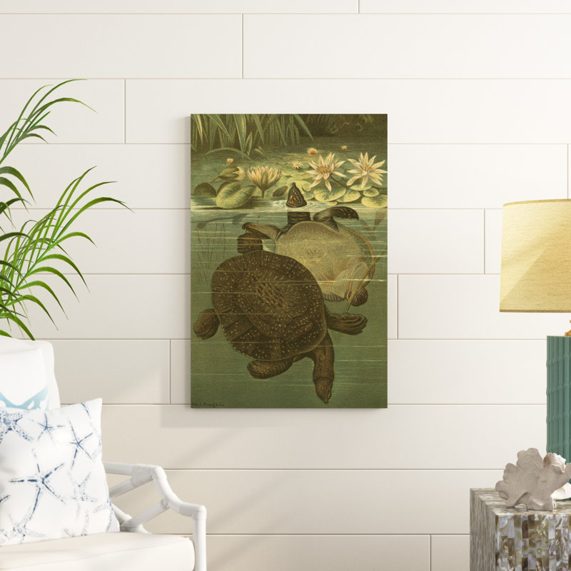 Tortues d'étang, H 36 po x l 24 po x P 1 po