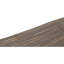 Flatweave Area Rug in Multi