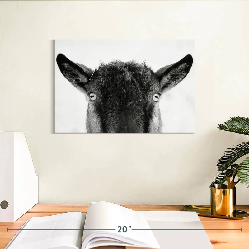 Peeking Black Goat, H 8 po x l 12 po