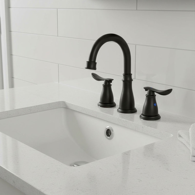 Double Handle Bathroom Sink Faucet with Drainer, Black