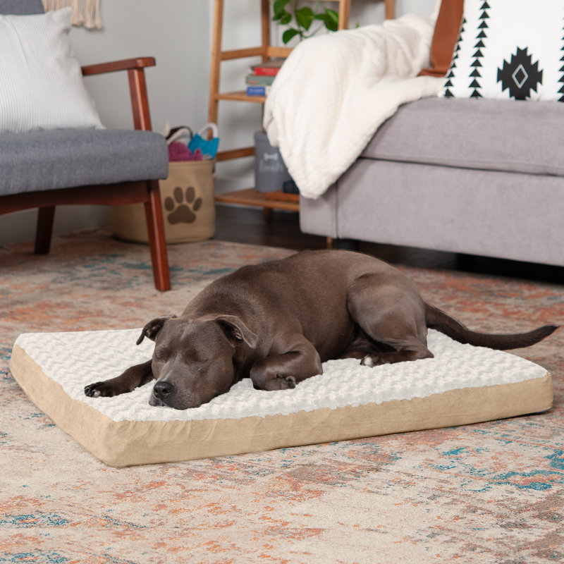 Orthopedic Polyester Pet Bed, Cream, Large (36" W x 27" D x 3" H)