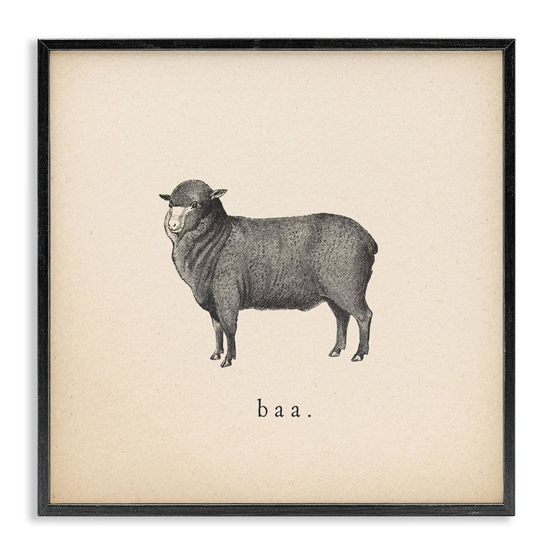 Baa Farm Sheep Sounds, art de la giclée encadrée par Wild Apple Portfolio, H 17 po x l 17 po, Giclée encadrée noir minuit