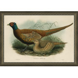 Gould Giclee Print by Soicher Marin Archives