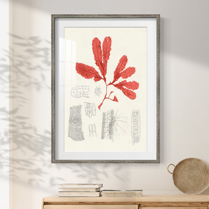Marcher dans les jardins de Waddesdon - Toile tendue avec châssis, Vieilli, H 28,5 po x l 20,5 po
