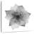 Harnek Lotus Flower X Ray
