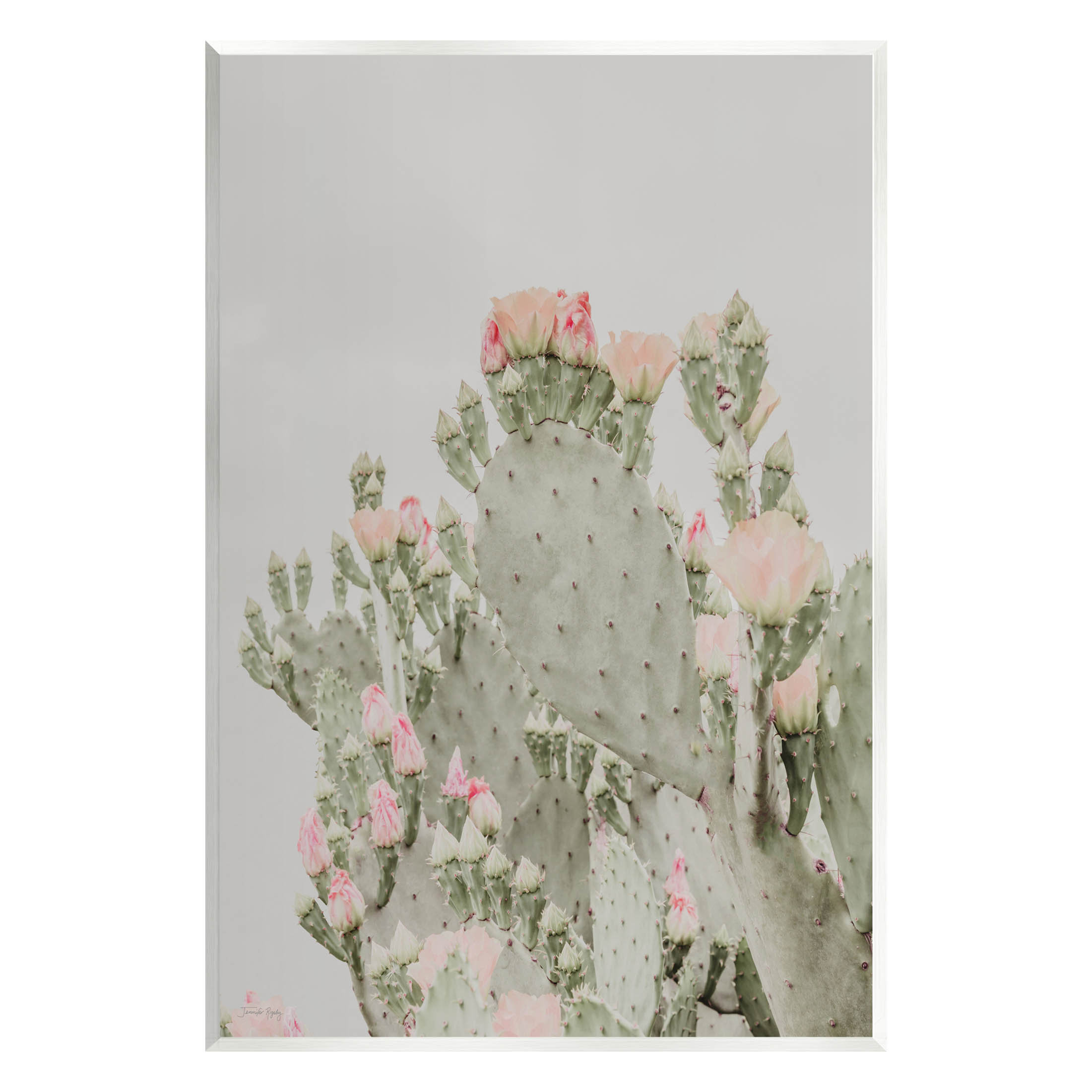 Stupell Industries Pink Cactus Blossoms Wall Plaque Art By Jennifer ...