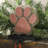 6.30"H Wooden/Metal Paw Stocking Holder