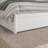 Lamariah Solid Wood Platform Bed with Matching Trundle-1461921420-1461921410