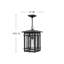 Tucker Museum Black 1 -Bulb 17.5" H LED Outdoor Hanging Lantern-904119321