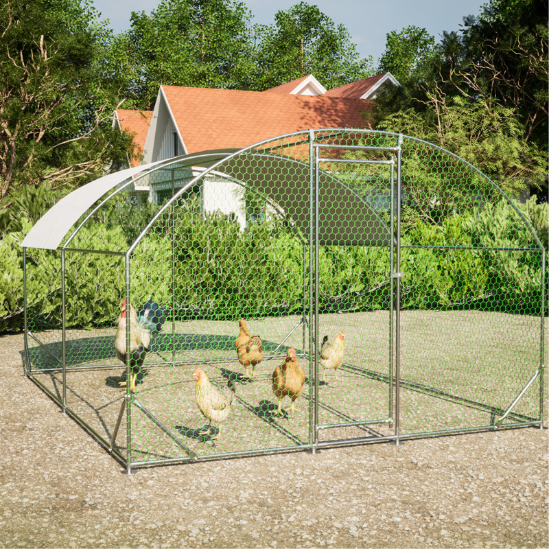 Cage en métal Chuck Run, Moyen (H 78,72 po x l 157,44 po x P 118,08 po)