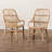 Jaylin Windsor Back Rattan Arm Chair Dining Chair