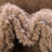 Zuniga Indoor Rug-1499739176