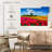 Alvord Holland Tulip Field-108730848