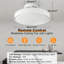 Ceiling Fan with LED Lights