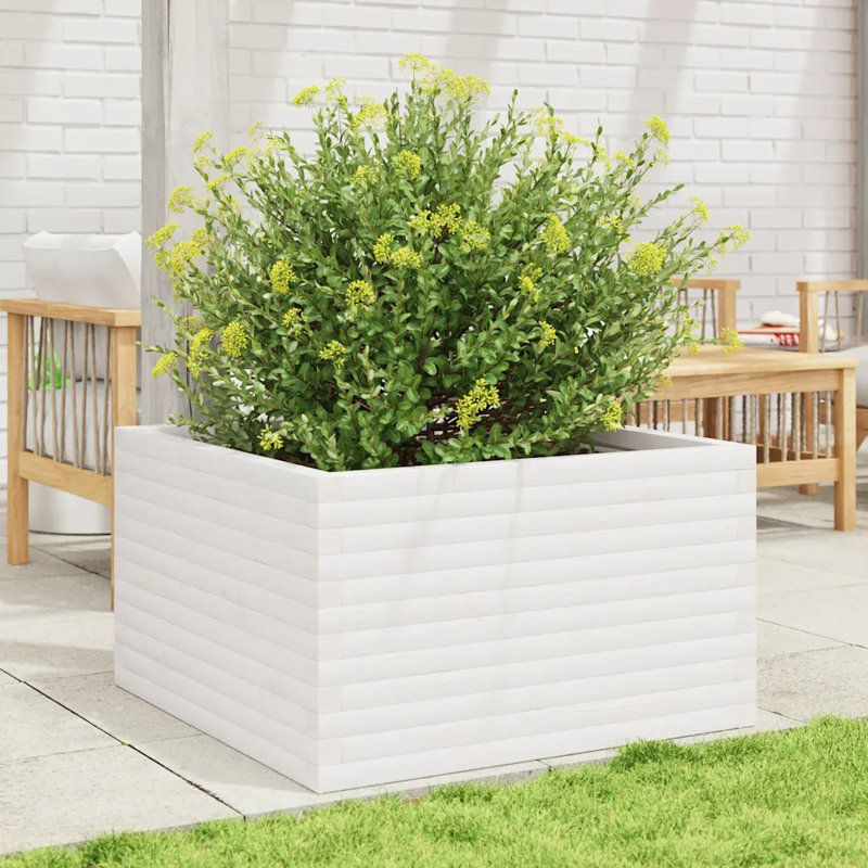 2 Wood Planter, White, 46cm H x 60cm W x 60cm D
