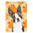 Boston-terrier