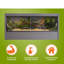 Grand terrarium Deneishia